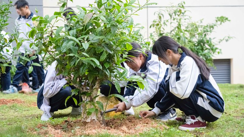 有关于大益的相关内容(11)