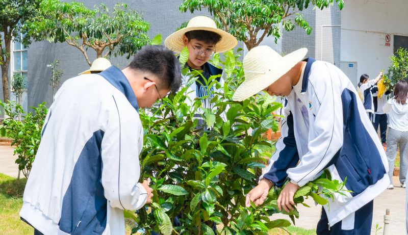 有关于大益的相关内容(12)