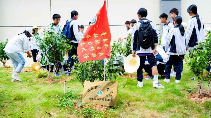 有关于大益的相关内容(13)