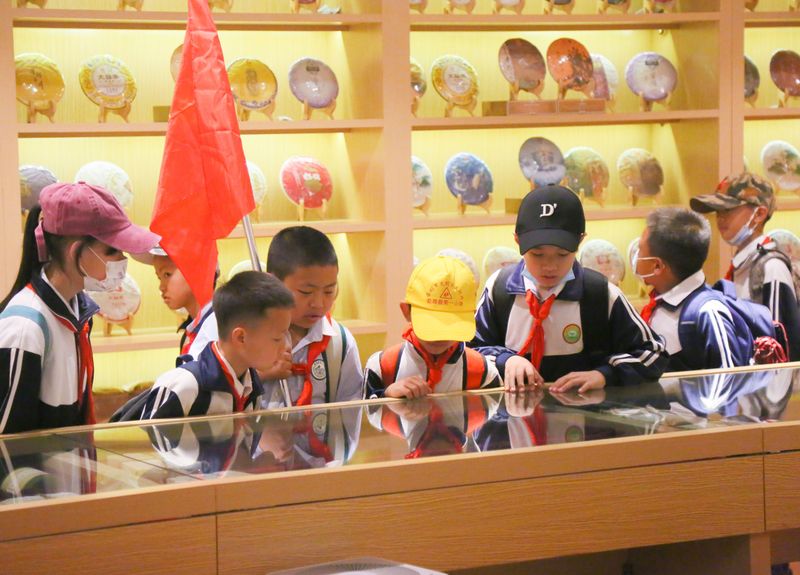 有关于大益的相关内容(2)