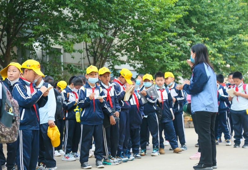 有关于大益的相关内容(1)