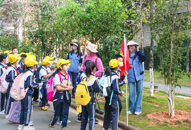 有关于大益的相关内容