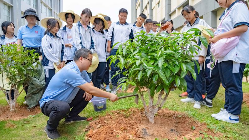 有关于大益的相关内容(10)
