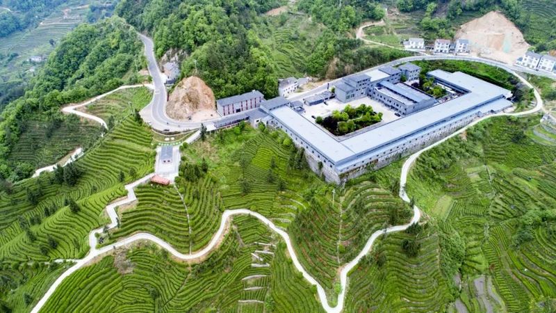 有关于宜昌邓村创“茶文化茶产业茶科技”统筹发展示范乡的相关内容(3)