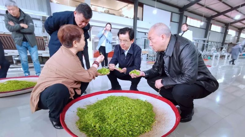 关于​罗祖新率队赴遵义市凤冈县、正安县、湄潭县考察学习新型工业化和茶产业发展的最新消息(1)