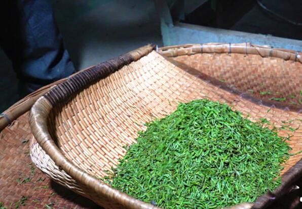 有关于谷城县盛康镇:茶园吐新绿 头茶采摘忙的信息(4)