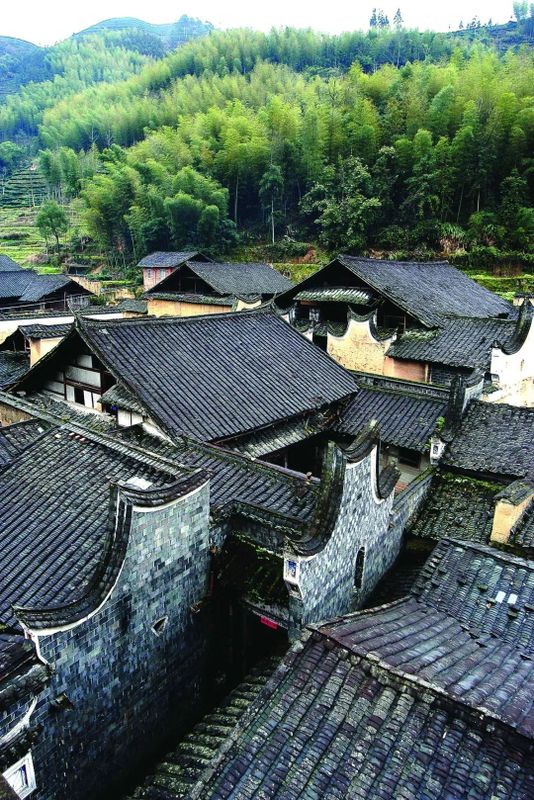 关于福建“工夫”茶,真的有“功夫”!的最新消息(2)