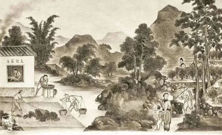 关于福建“工夫”茶,真的有“功夫”!的最新消息(5)