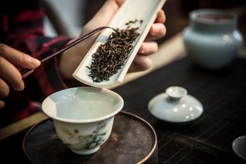 关于福建“工夫”茶,真的有“功夫”!的最新消息(8)