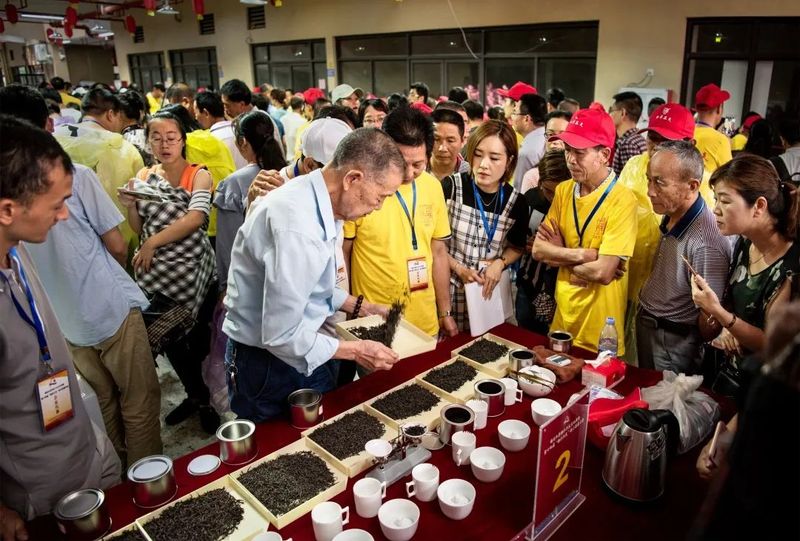 关于福建“工夫”茶,真的有“功夫”!的最新消息(18)