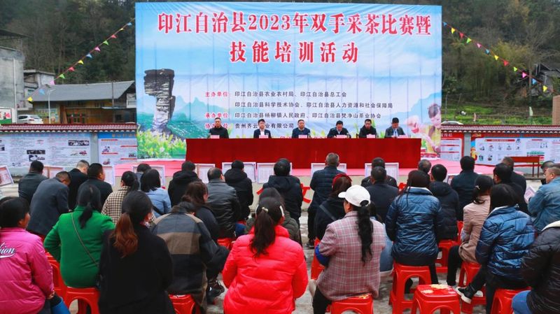 关于印江：采茶好手双手翻飞“赛”技能的消息