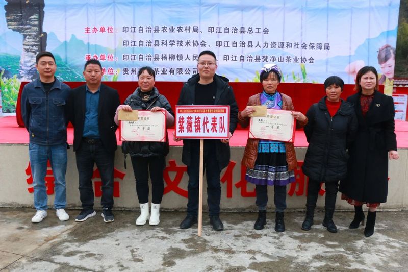 关于印江：采茶好手双手翻飞“赛”技能的消息(7)