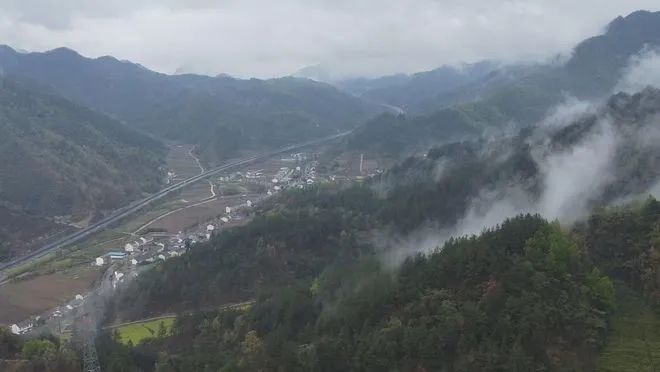 有关于湖北十堰房县 春茶香满园 采摘正当时的资讯(3)