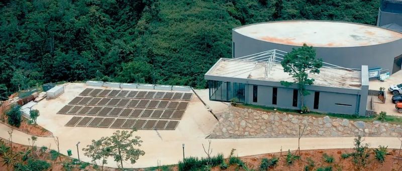 关于景东提质增效促进茶产业高质量发展的信息(9)