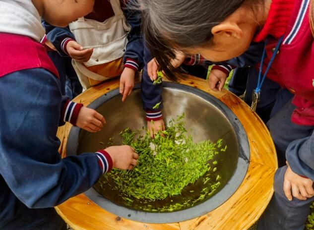 关于九江德安县：多彩研学路 春茶伴我行的相关内容(1)