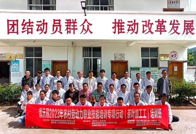 有关于田坝乡：春茶采摘忙 “送技”正当时的资讯