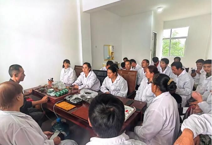 有关于田坝乡：春茶采摘忙 “送技”正当时的资讯(1)