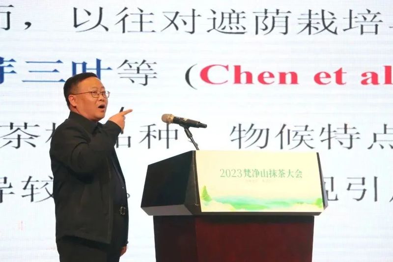 有关于签约5.39亿元!2023年梵净山抹茶大会在铜仁举行的内容(6)