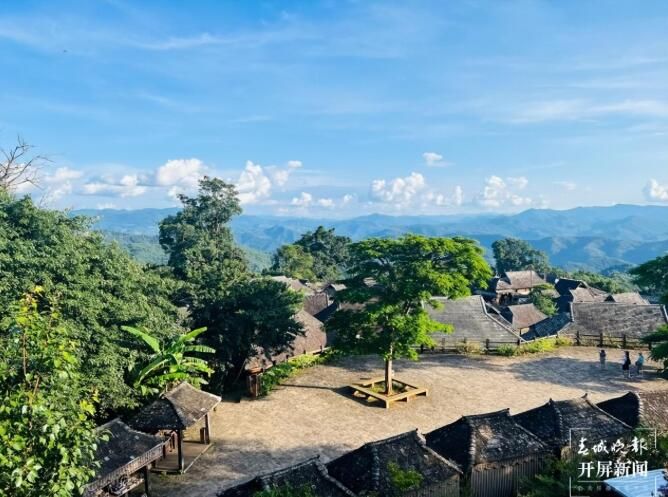 有关于了不起的云南古茶树 她,就是中国茶文化本身!的内容(12)