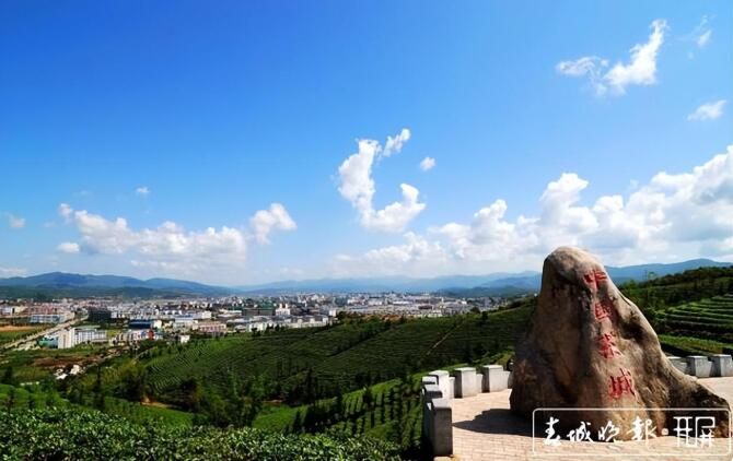 有关于了不起的云南古茶树 她,就是中国茶文化本身!的内容(19)