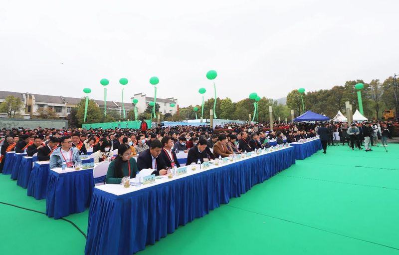 有关于统筹“三茶”发展 助推乡村振兴—2023年舒城小兰花茶文化旅游节盛大启幕的相关内容(11)