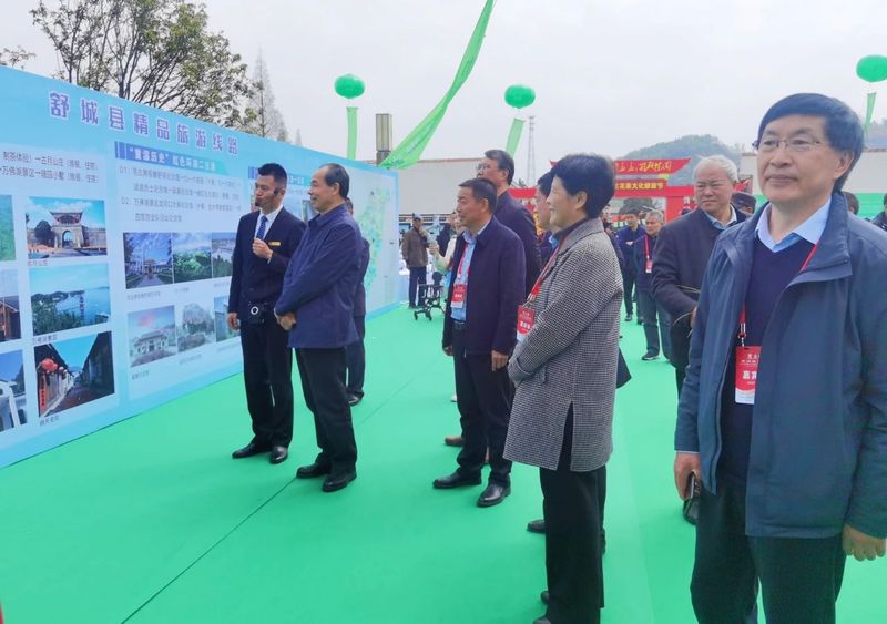 有关于统筹“三茶”发展 助推乡村振兴—2023年舒城小兰花茶文化旅游节盛大启幕的相关内容(8)