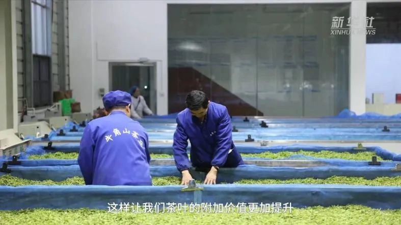 关于古丈县牛角山村：茶旅融合助力乡村振兴的相关信息(3)