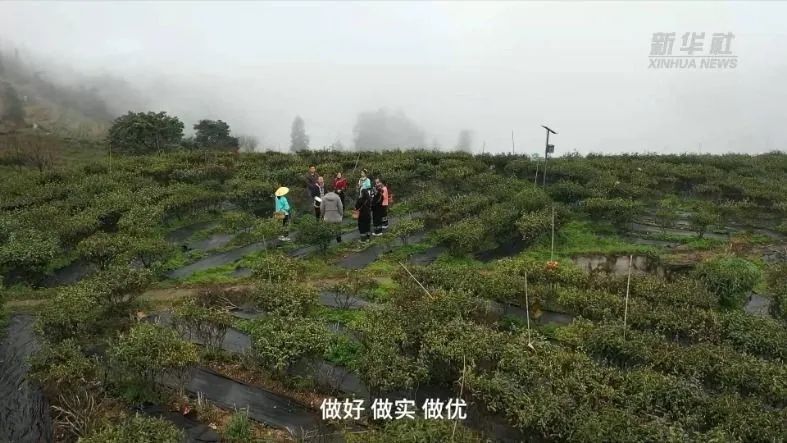 关于古丈县牛角山村：茶旅融合助力乡村振兴的相关信息