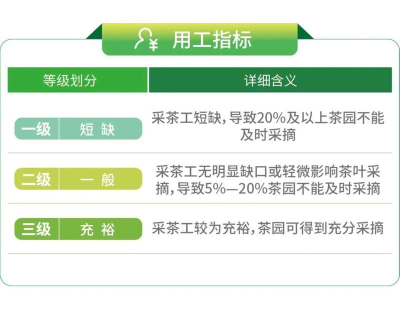 关于安徽省春茶开采动态发布的消息(4)