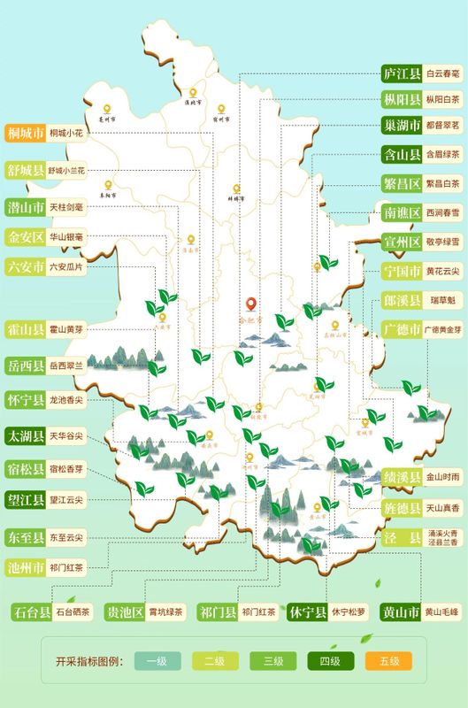 关于安徽省春茶开采动态发布的消息(8)