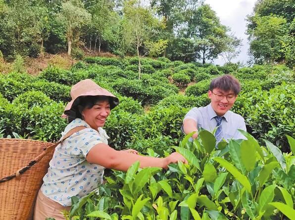 关于邮储银行云南省分行：金融“活水”润泽景迈茶山的信息