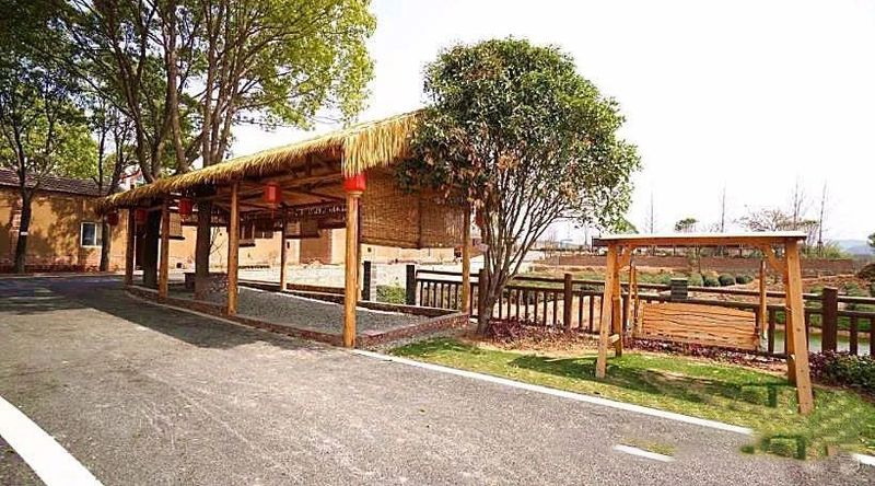 有关于孝昌青山村：知青点里茶飘香的信息(5)