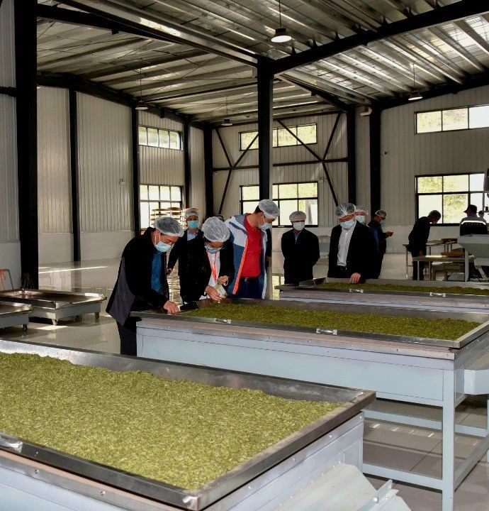 有关于陕西“百企茶区行”宣传推介活动走进汉中的消息(7)