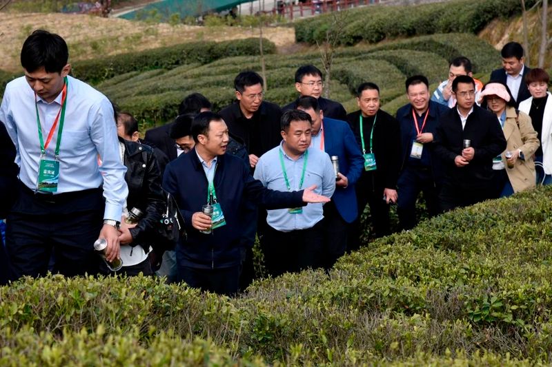 有关于陕西“百企茶区行”宣传推介活动走进汉中的消息(4)