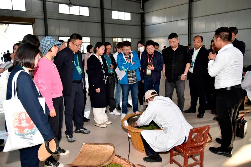 有关于陕西“百企茶区行”宣传推介活动走进汉中的消息(6)