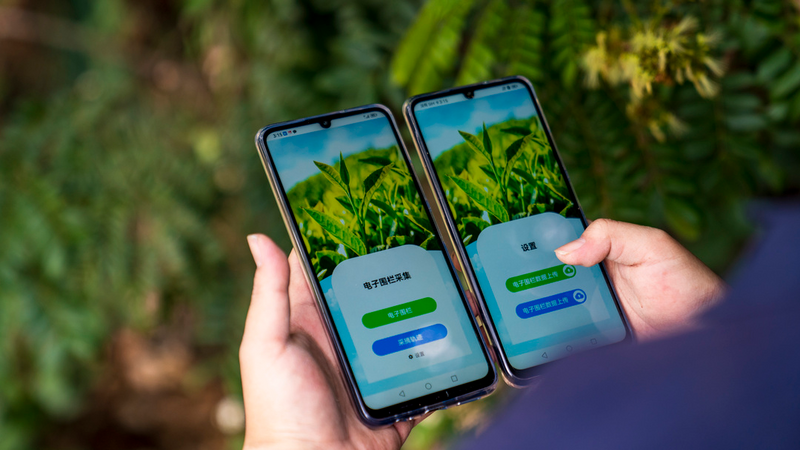 关于云南省首次在双江运用区块链技术与北斗卫星定位开展春茶质量保荐溯源的相关信息