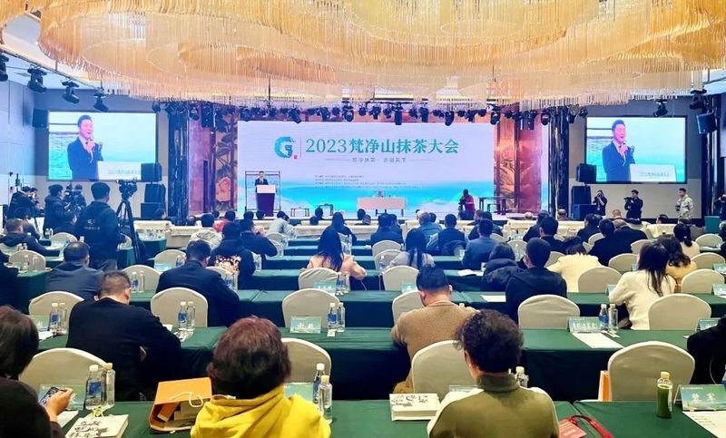 有关于3月茶情:培训加工忙不停 春茶生产正当时的资讯(16)