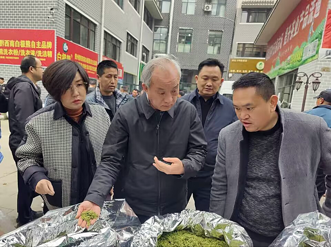 有关于3月茶情:培训加工忙不停 春茶生产正当时的资讯