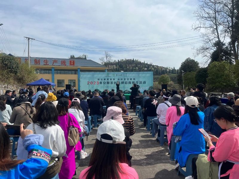 有关于3月茶情:培训加工忙不停 春茶生产正当时的资讯(10)