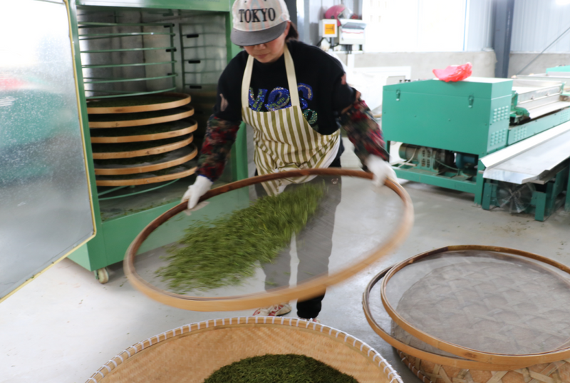 有关于铜山镇：春暖茶飘香 茶山采茶忙的信息(3)