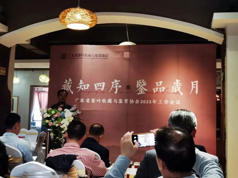 有关于一任天真的信息