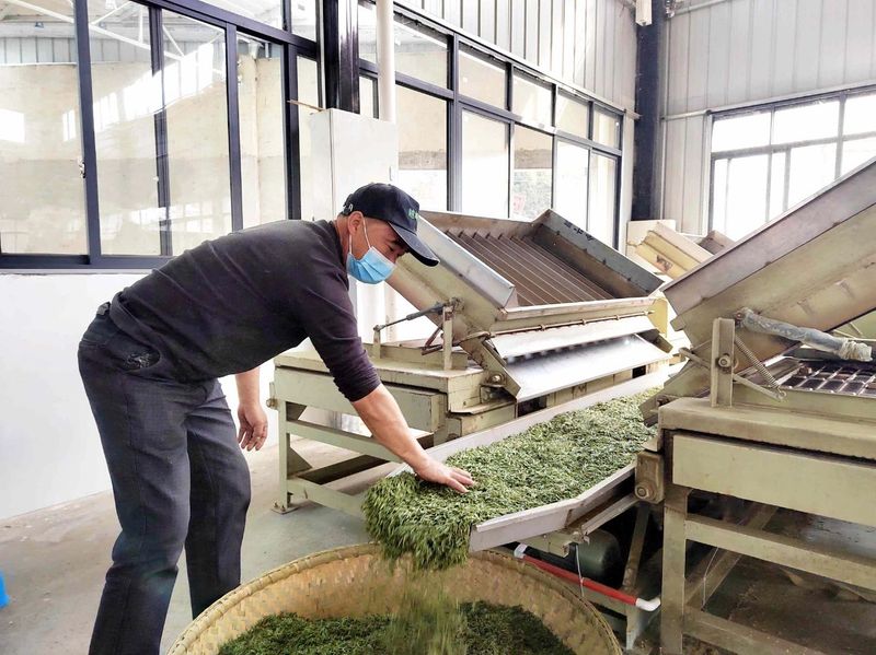 有关于增产能！湄潭县越崎茶业有限公司新厂建成投用的新闻(3)