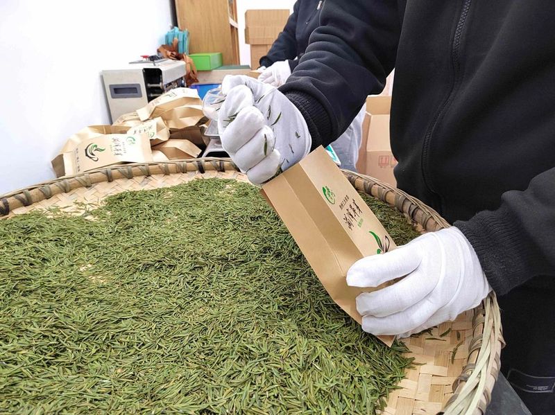 有关于增产能！湄潭县越崎茶业有限公司新厂建成投用的新闻(5)