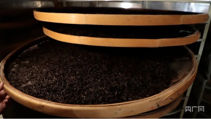 有关于贵州金沙：茶山春光无限好 茶农采茶增收忙的消息(2)