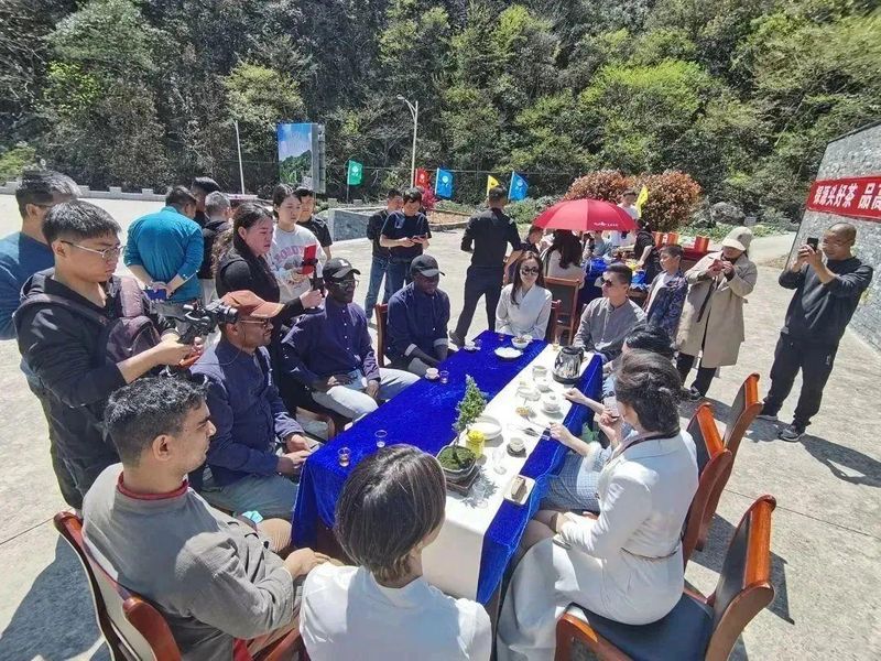 关于以茶为媒 相聚祁眉 2023第四届祁门“祁眉”红茶正式开园的最新消息(10)