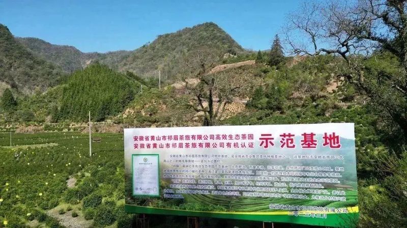 关于以茶为媒 相聚祁眉 2023第四届祁门“祁眉”红茶正式开园的最新消息(3)