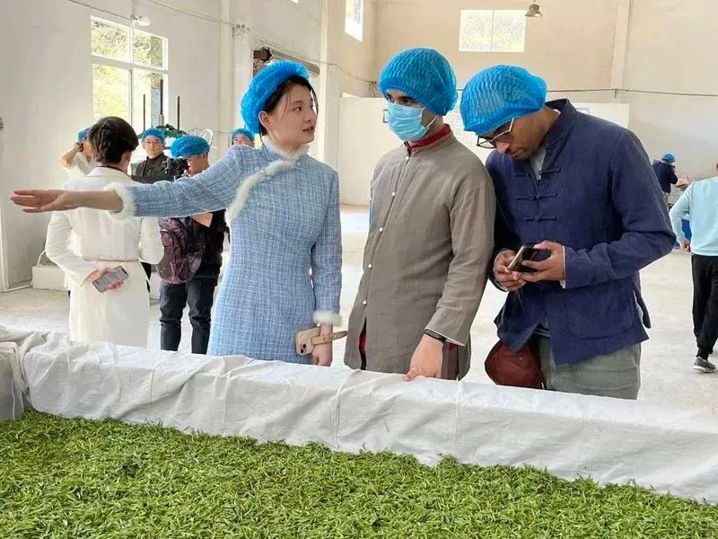 关于以茶为媒 相聚祁眉 2023第四届祁门“祁眉”红茶正式开园的最新消息(7)