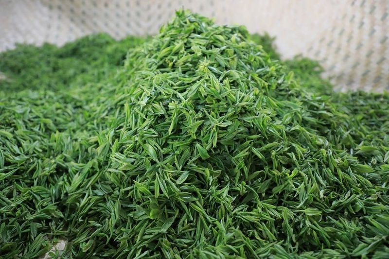 有关于贵州敖市：大力发展高产值茶产业 走上乡村振兴致富路的资讯(3)