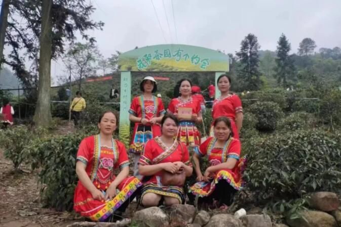 关于平乐县青龙乡首届采茶节活动丰富多彩的资讯(8)