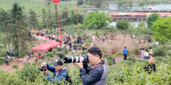 关于平乐县青龙乡首届采茶节活动丰富多彩的资讯(12)